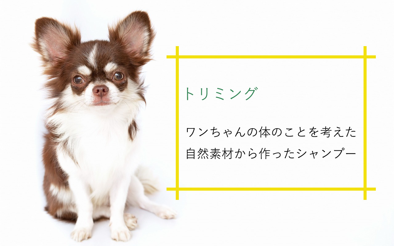 メインイメージ2